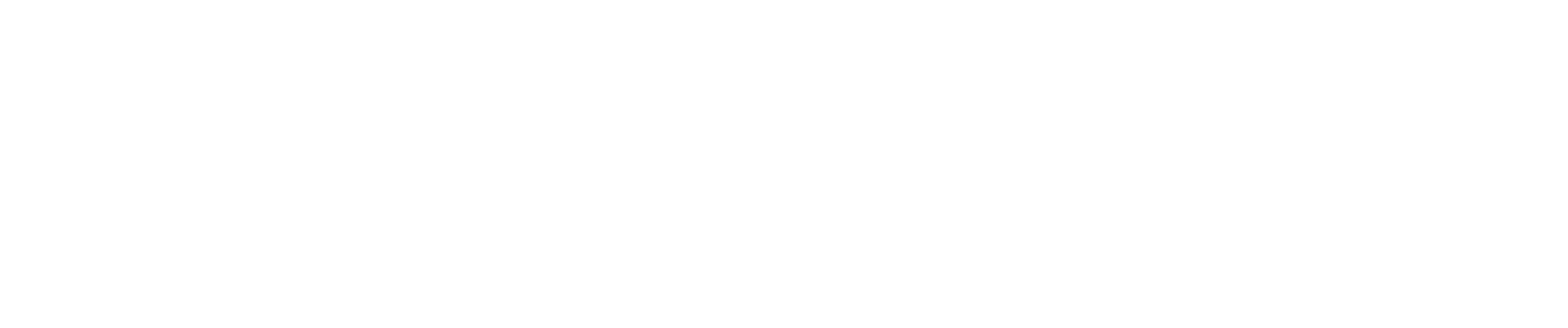 Visit us at stormsoftware.com