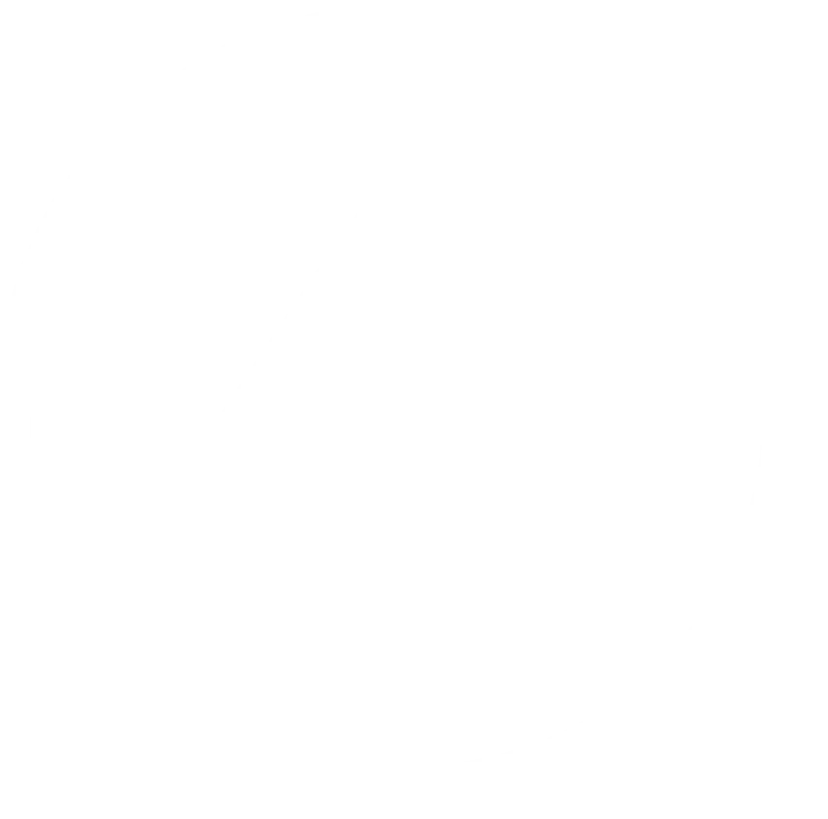Storm Software